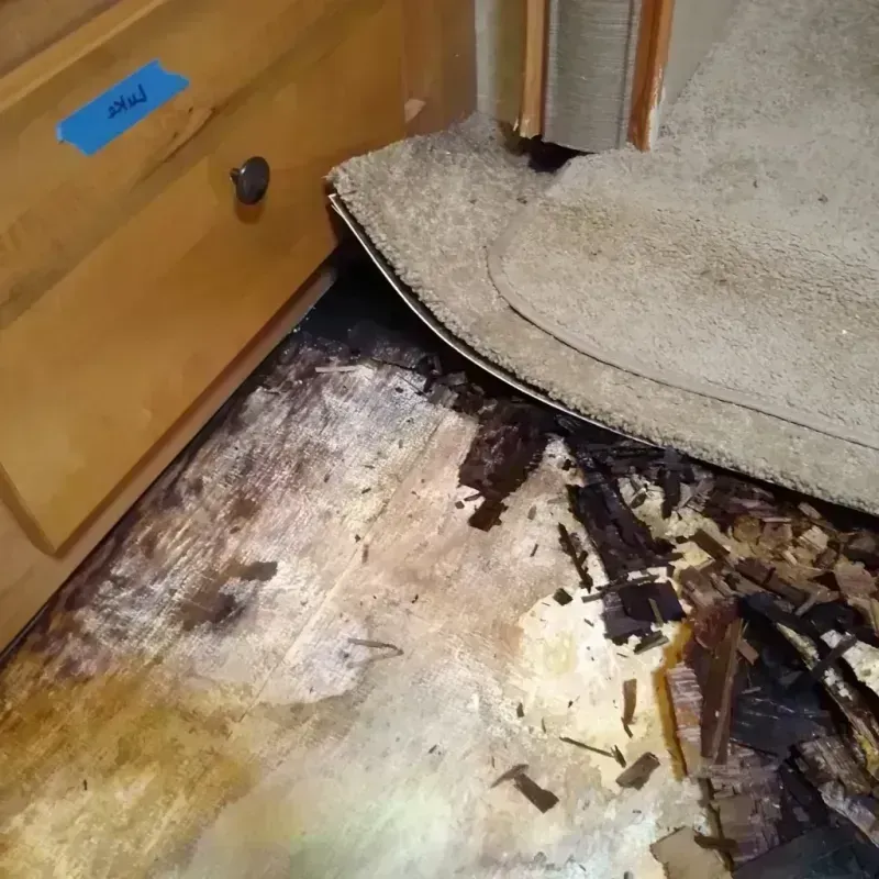 Best Wood Floor Water Damage Service in Grand Marais, MN